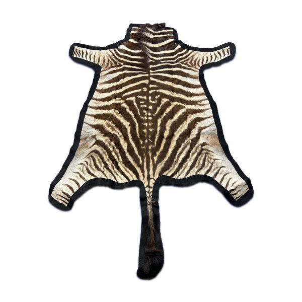 Bungalow Rose Real Zebra Skin Rug (Small Size) Wayfair